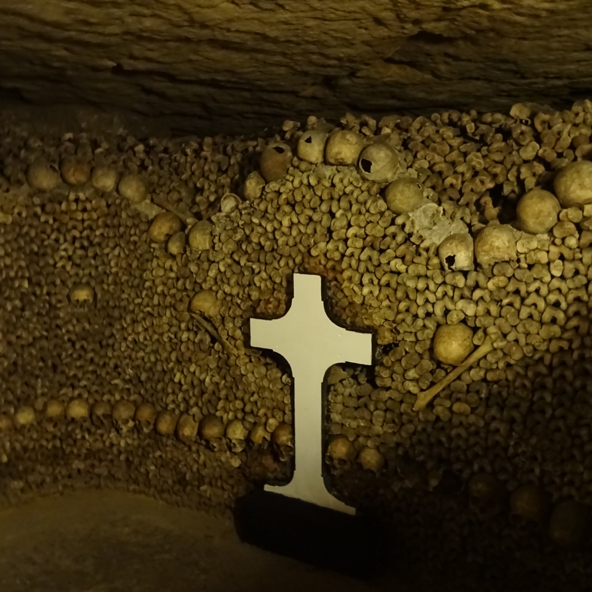 Ossements des Catacombes à Paris