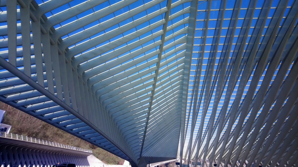 Focus sur le toit de la gare des Guillemins