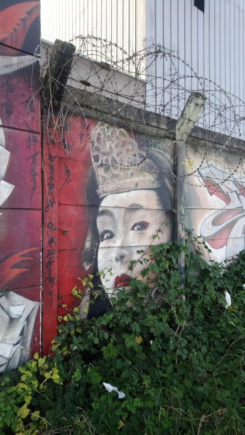 Asphalte Street Art à Charleroi