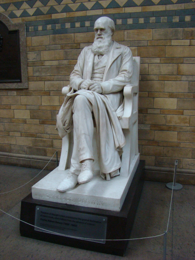 Statue de Darwin