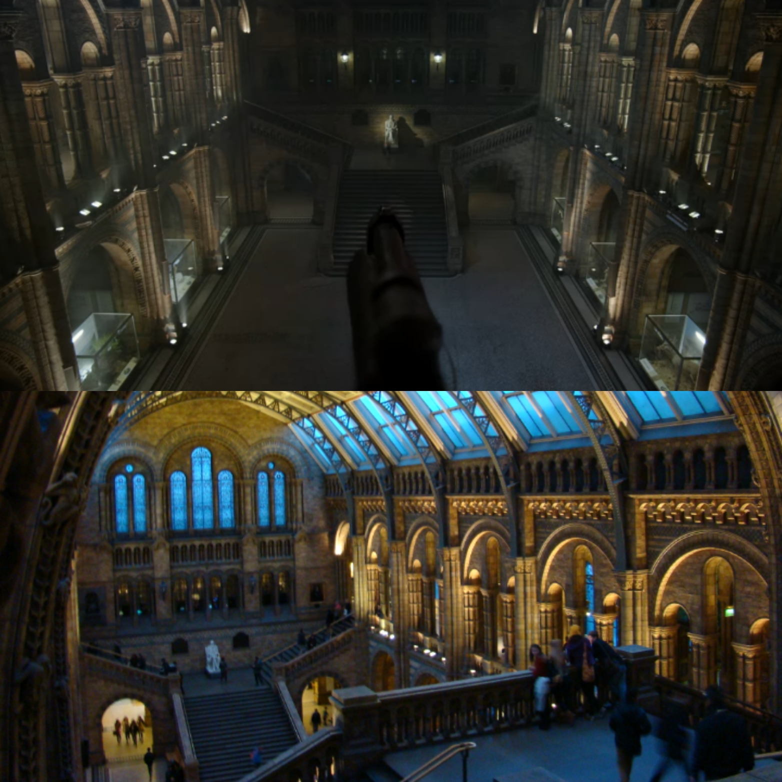 Le film Paddington au musée d'histoire naturelle de Londres