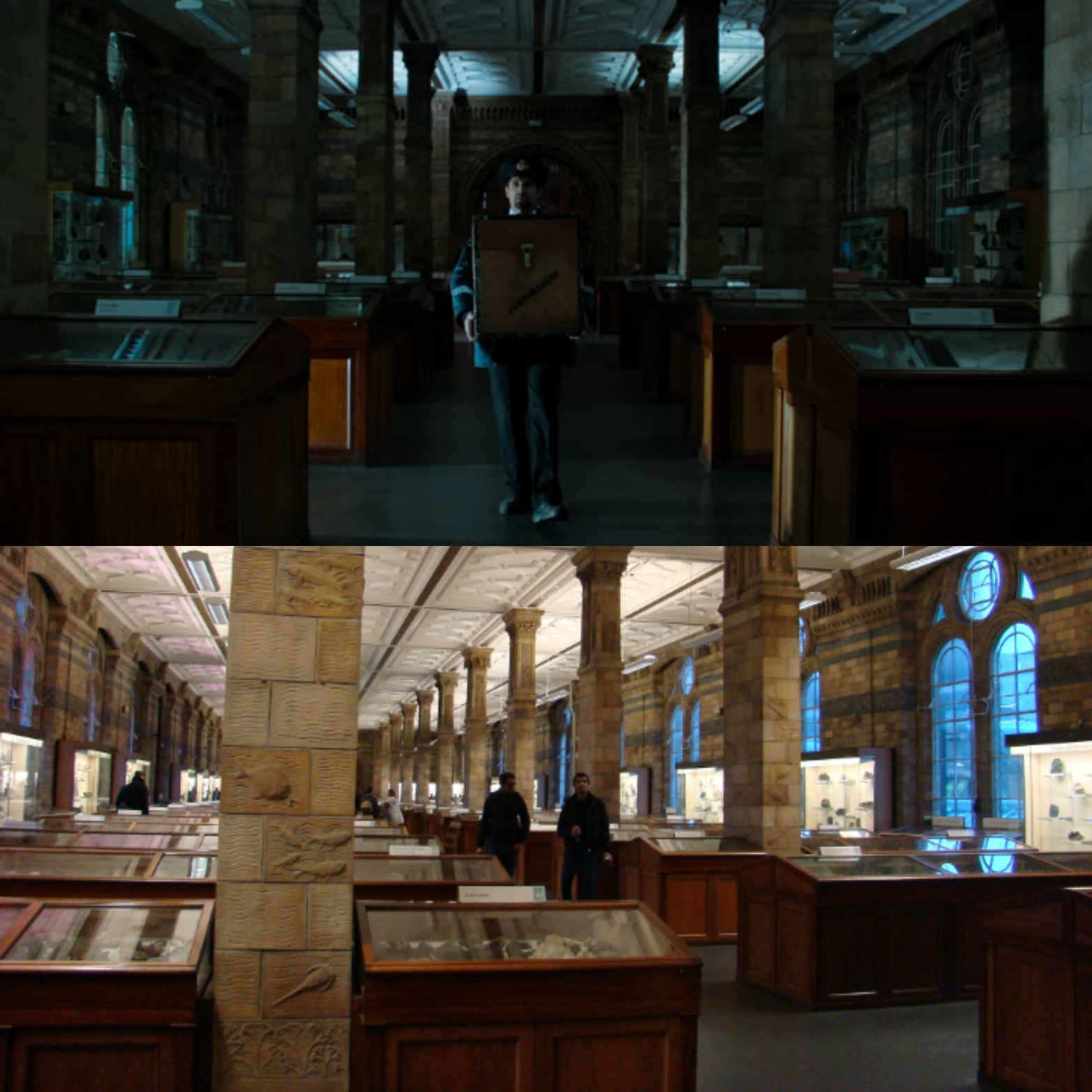 Musée d'histoire naturelle dans Paddington
