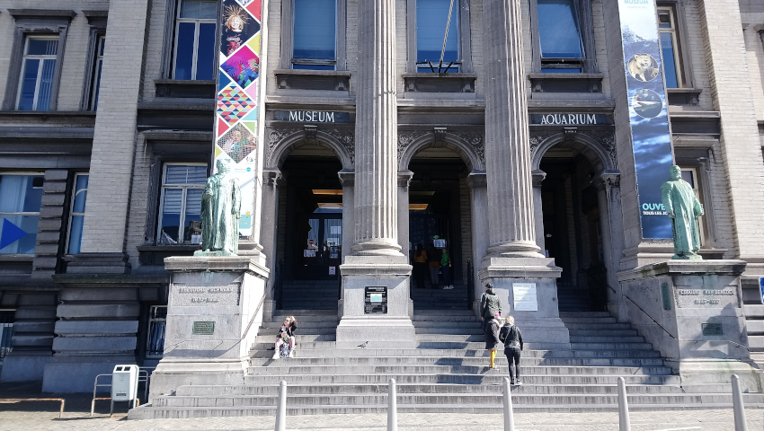 Aquarium-Muséum de Liège