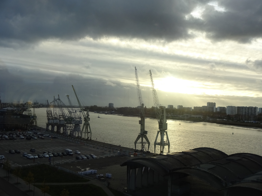 Les grues portuaires exposées le long de l'Escaut
