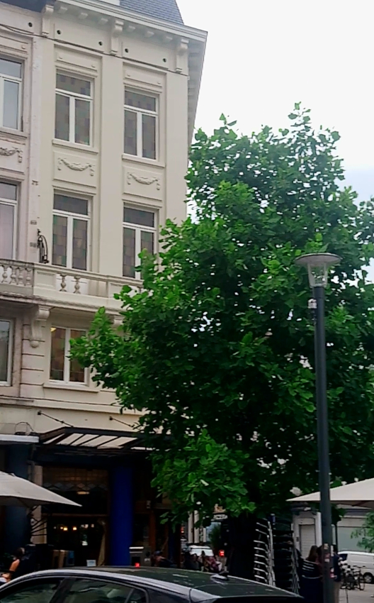 Brasserie Verschueren, Parvis de Saint-Gilles