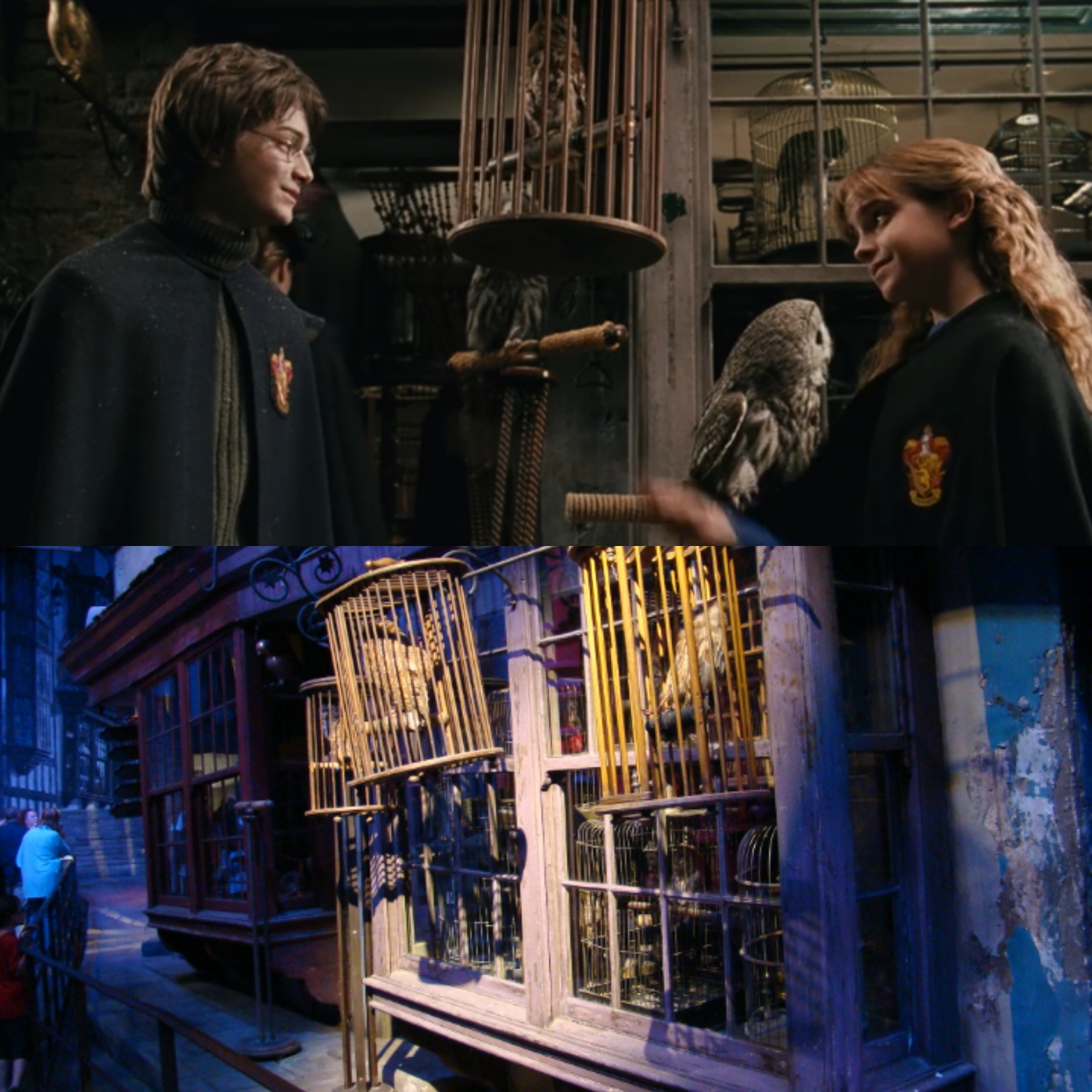 Harry et Hermione dans le Chemin de Traverse