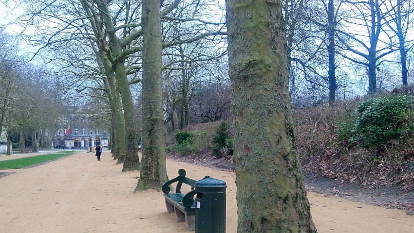 Parc de Bruxelles en hiver
