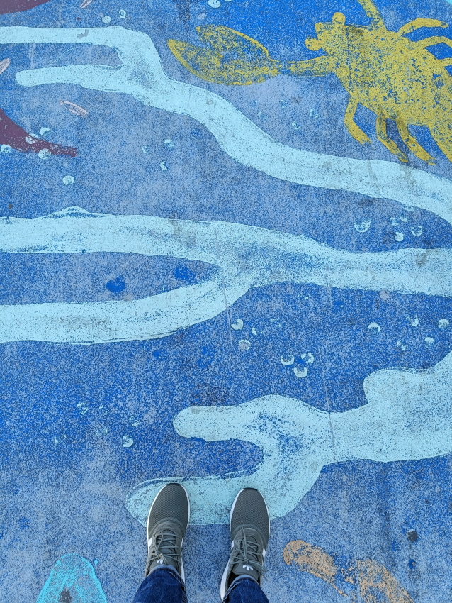 Le Jardin Aquatique par Capitaine Bowie