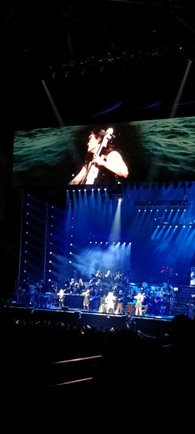 La violoncelliste Tina Guo à Anvers