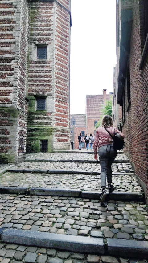 Le long de la Vleeshuis à Anvers