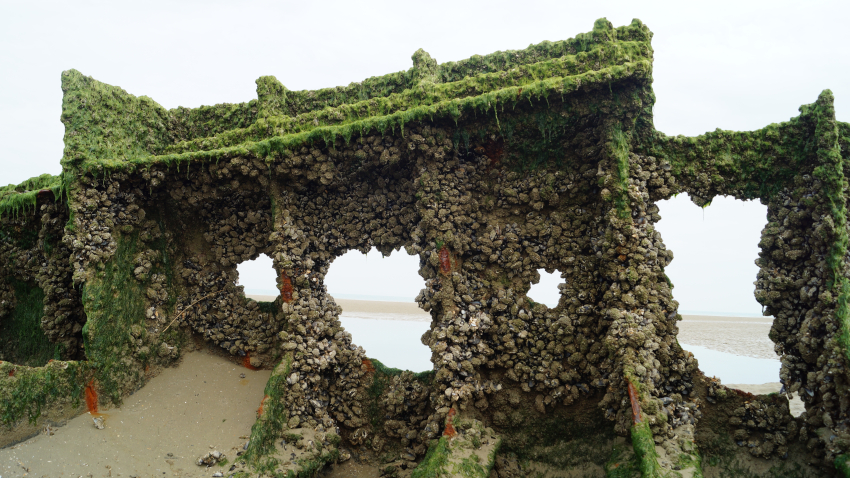 Epave du Claude London