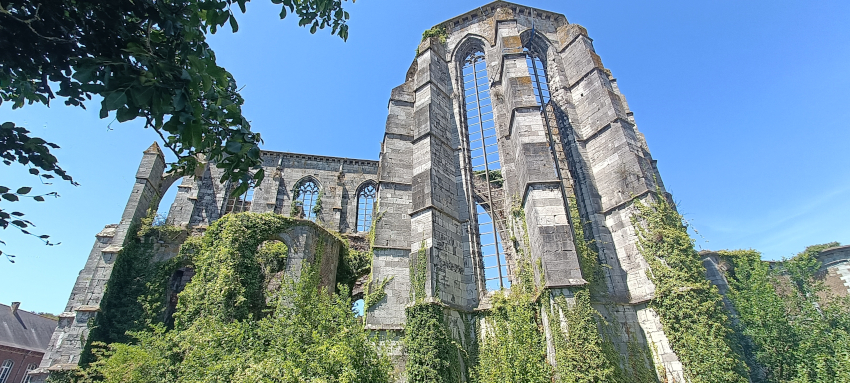 Ruines de l'église abbatiale à Thuin