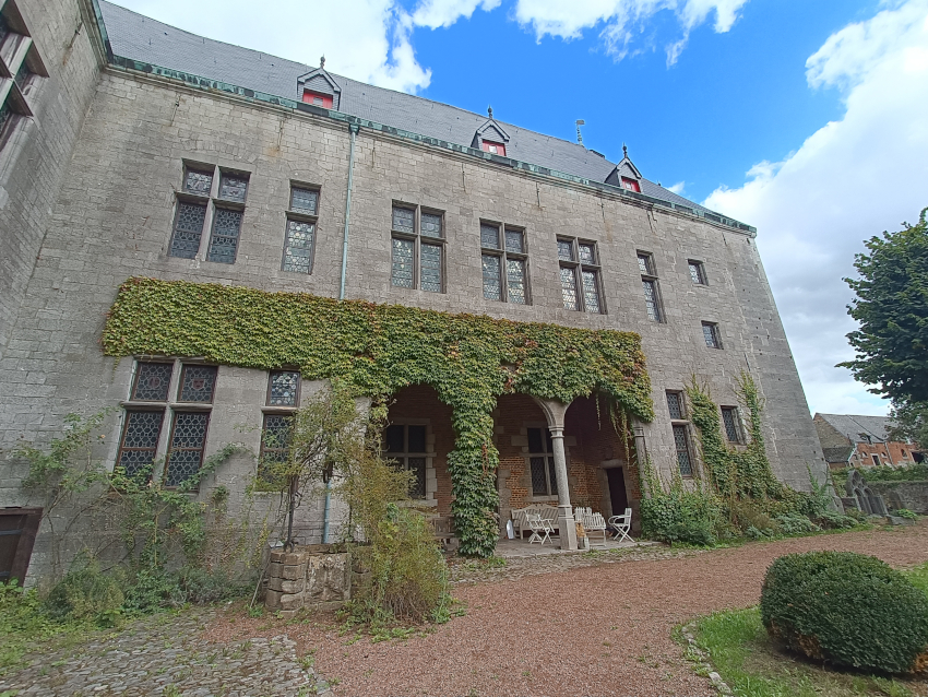 Lierre sur façade de la cour du château d'Écaussinnes