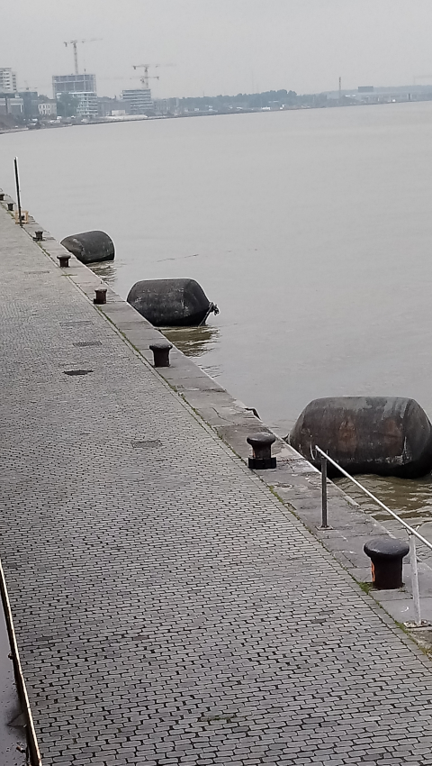 La promenade le long de l'Escaut à Anvers