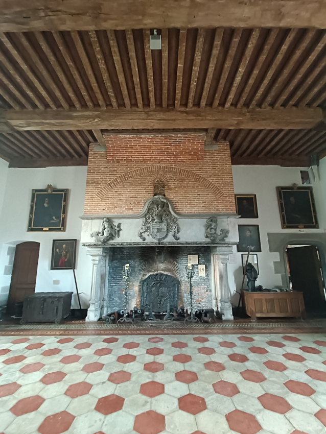 Cheminée au rez-de-chaussée du château d'Écaussinnes