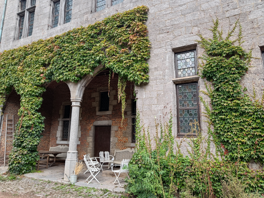 Lierre grimpant au château d'Écaussinnes-Lalaing